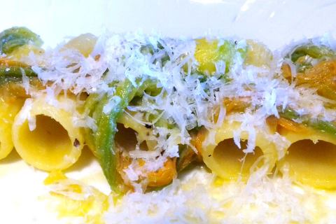 Da Casa Latini: rigatoni, fiori di zucchina, curcuma e parmigiano