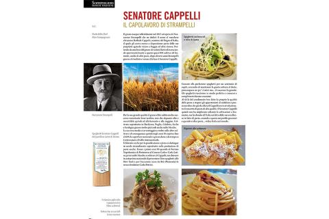 Il nostro Senatore Cappelli sulla rivista Sommelier Marche...