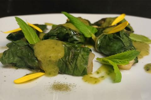 Tono su tono, verde su verde...