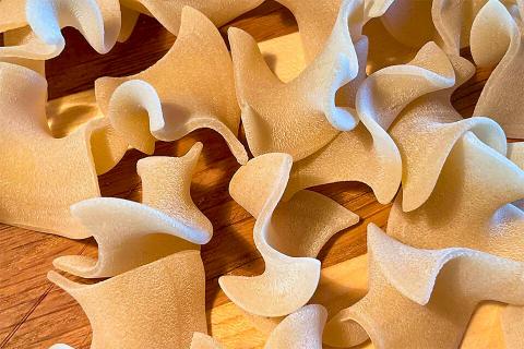 Le nostre macro foto: Trucioletti