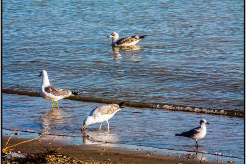 Prima che arrivi gente...