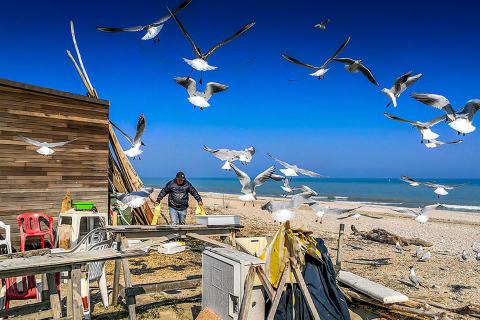 Ragazzi! Chi mi aiuta?