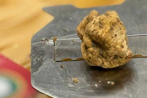 Newsletter 1° Febbraio 2026