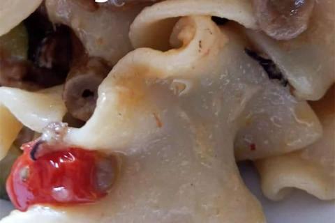 Domenica a Casa Compagnucci con Orietta in cucina
