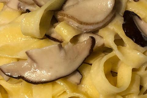 Andar per porcini...