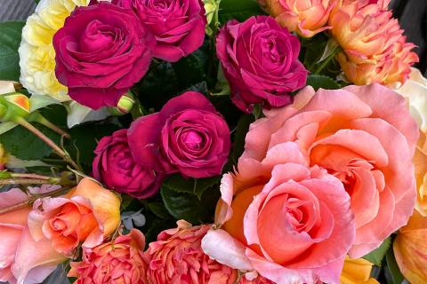 Newsletter 16 Novembre 2025