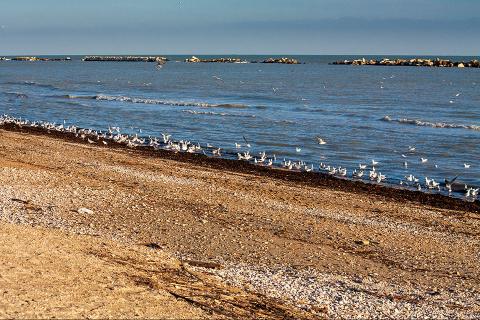 Tutti pronti in fila indiana...