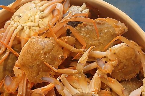 Granchi dell'Adriatico...