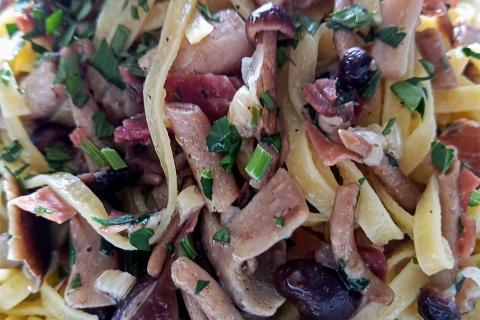 Funghi chiodini a Casa Compagnucci