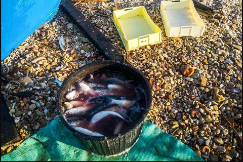Insieme ai pescatori...