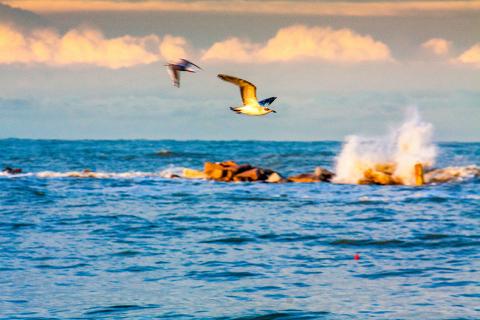 La luce del giorno che avanza...