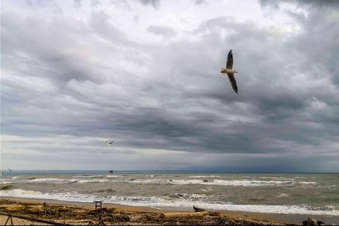 Gabbiani nuvole e mare...
