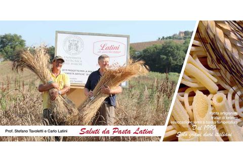 Cartoline dai campi