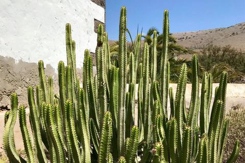 Grazie a Barbara Bertusi